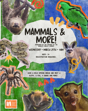 Mammals & More with 